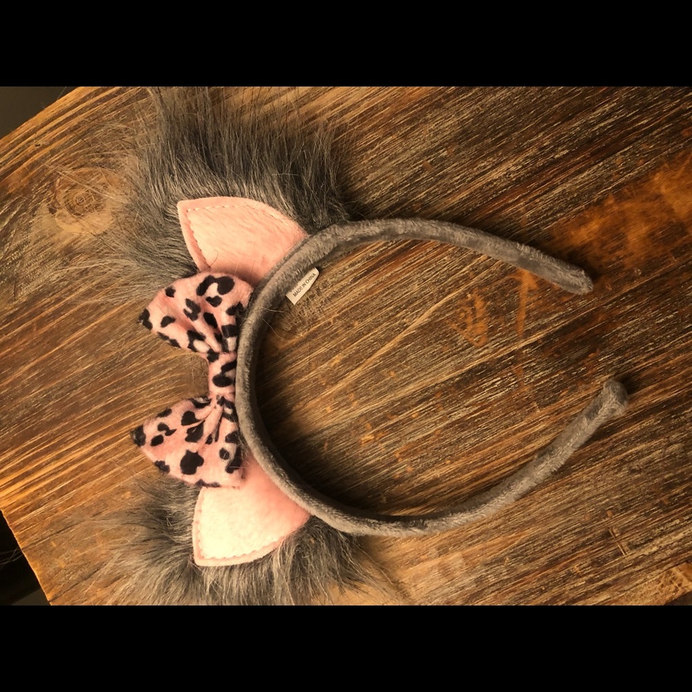 Disney Mickey Ears